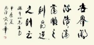 俞志华——联合国推广大使