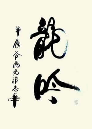 俞志华——联合国推广大使