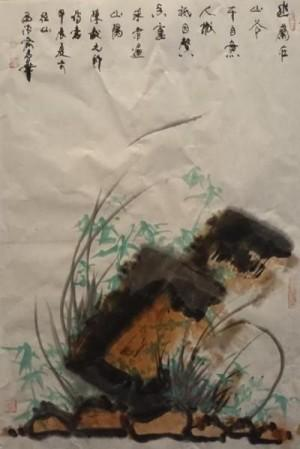 俞志华——联合国推广大使