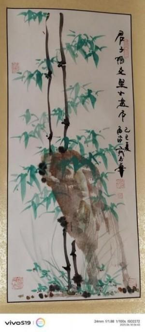 俞志华——联合国推广大使