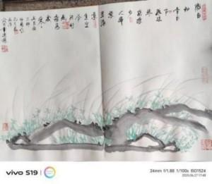 俞志华——联合国推广大使