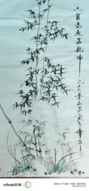 俞志华——联合国推广大使