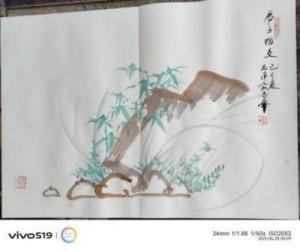 俞志华——联合国推广大使