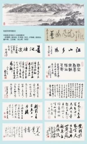 俞志华——联合国推广大使