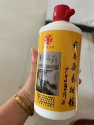 俞志华——联合国推广大使