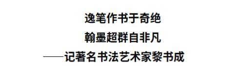 黎书成——联合国推广大使