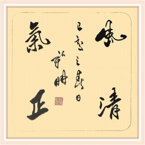 潘新明——联合国推广大使