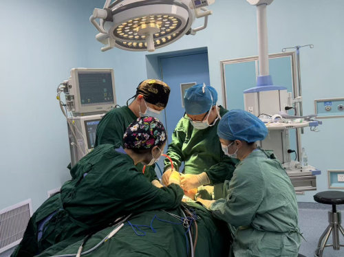 项昌峰医生精雕轮廓,重塑自信 —— 走进武汉科技大学附属武汉紫荆医院颌面整形中心