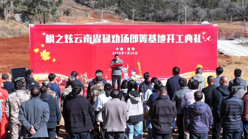 枫之炫云南禄劝基地开工典礼隆重举行 打造云南首个枫树全产业链示范基地