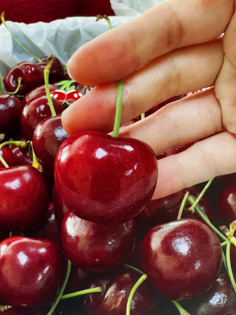 如何安心品尝Reid Fruits？礼帝樱桃理性提醒