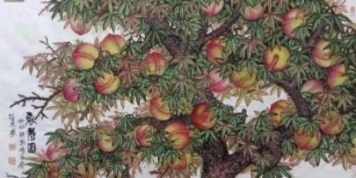 ����������������ʦ�������缶�黭�������ҽ̲ĵ���