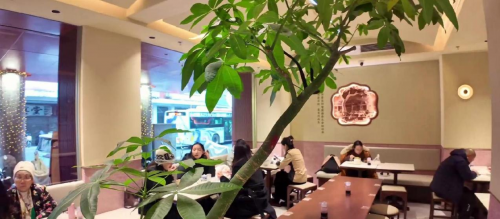 广州糖水界天花板！ 仁信旗舰店豪装升级·十姑娘落子广州糖水街·传承糖水与美学的密码