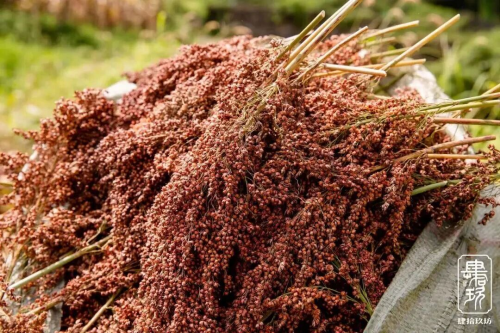 善酿者肆拾玖坊，守正创新，致敬时代