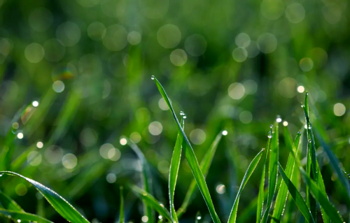 养生小科普-身心同养的日常智慧