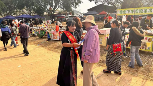 中国太保产险陇川支公司开展“清朗金融网络 守护安心消费”宣传活动