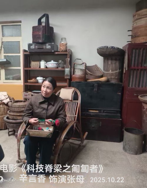 2026年俩会特别报道 新时代最美奋斗者—辛言香用角色温暖人间,以初心致敬时代第5张-环球新闻网 2026年俩会特别报道 新时代最美奋斗者—辛言香用角色温暖人间,以初心致敬时代第5张