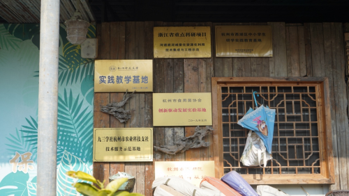 科技赋能现代农业 青春助力乡村振兴  ——杭州万向职业技术学院学子赴双浦镇绘就乡村振兴新图景