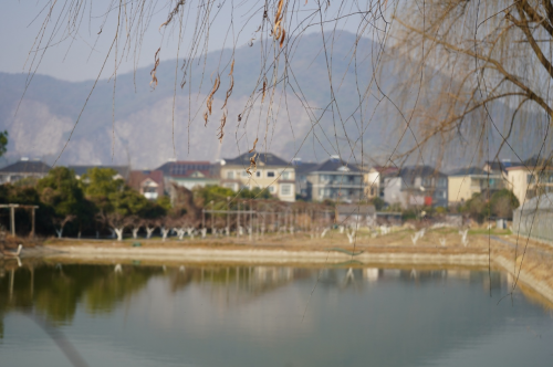 科技赋能现代农业 青春助力乡村振兴  ——杭州万向职业技术学院学子赴双浦镇绘就乡村振兴新图景