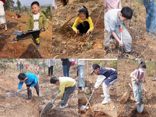 植绿护绿正当时·亲子同行传新风——碧湖新村社区“亲子志愿植树”活动圆满开展