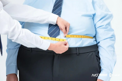 12周可显著改善！最新研究揭露长轻如何通过食疗重塑体质