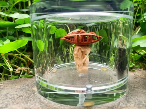 文化强国高峰攀登工程——艺坛领军人物【胡润生】