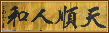 ��ƾ�ס����������ۺ�ʵ����