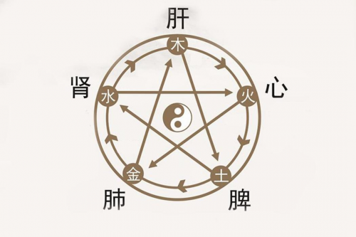 项二磊老师从中医视角解析张雪峰老师猝逝:离火运下的生命警示