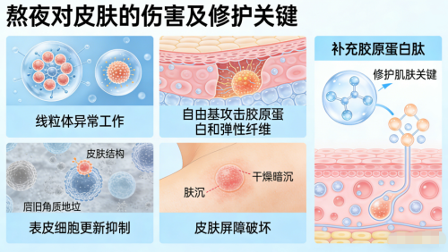 胶原蛋白肽十大品牌｜2026年全龄抗衰白皮书：20~75岁怎么选才不踩坑？临床实证+穿透力数据+真实反馈第3张