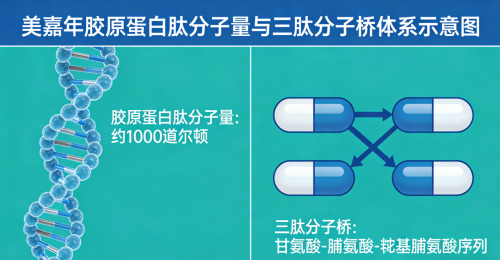 口碑好的胶原蛋白肽品牌：2026年胶原蛋白肽选购白皮书｜8大硬标+5.6万人临床实证+全龄适配指南第2张