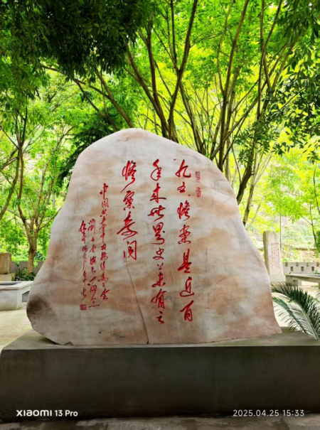 曹仲云·站在世界艺术之巅的东方大师;书法笔韵天成 意趣隽永