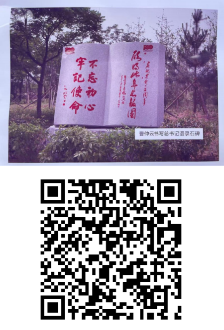 曹仲云·站在世界艺术之巅的东方大师;书法笔韵天成 意趣隽永