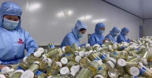 拒绝假洋货！灵芝孢子油，本源在中国，技术优势更在中国