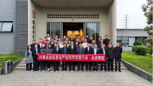 以茶为链 抱团出圈｜川商总会民委会产业协同