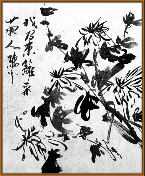 �������������������;н���ഫ�� �������е䷶���