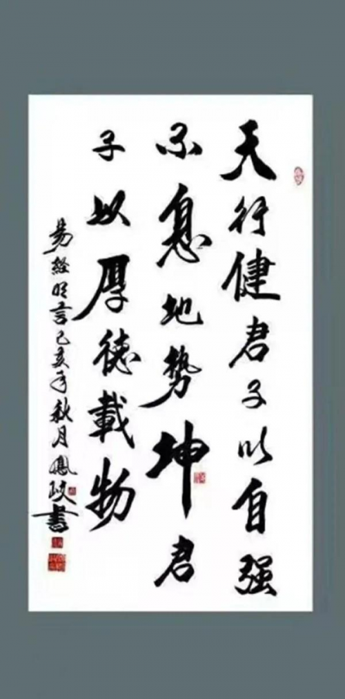 《中文语言日》本期封面人物·顾凤岐