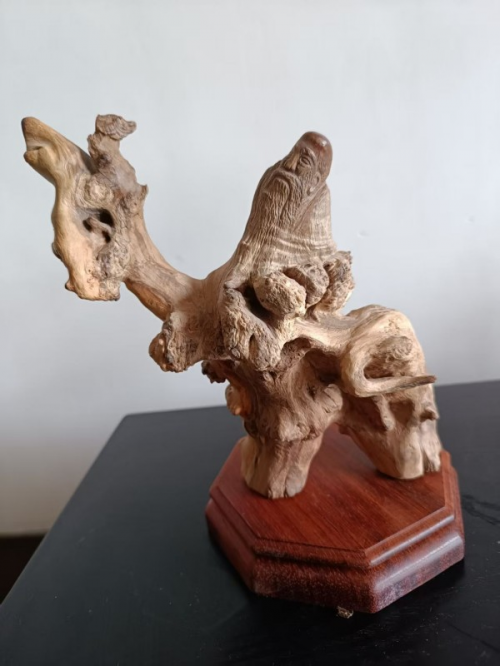 ���������������ա��ر��Ƽ���������ï��