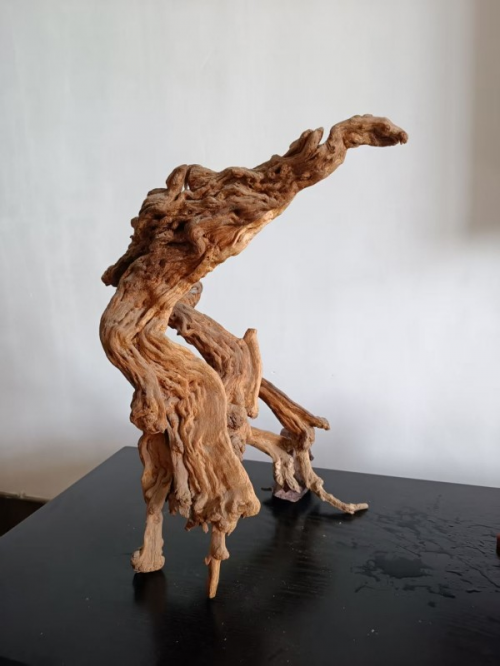 ���������������ա��ر��Ƽ���������ï��