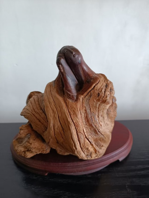 ���������������ա��ر��Ƽ���������ï��