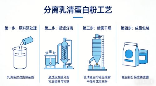 蛋白粉十大名牌排行榜 2026年科学选购避坑指南