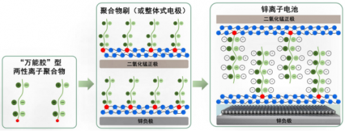 皖西学院“有为锌青年”团队突破水系锌离子电池瓶颈，引领安全储能新未来