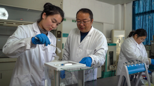 绿色科技赋能低碳转型 洁羽新材引领羽绒洗护行业环保升级 绿色科技赋能低碳转型 洁羽新材引领羽绒洗护行业环保升级