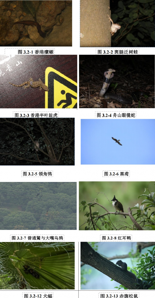 东莞腹地，他们花了26年给一座山“摸家底”