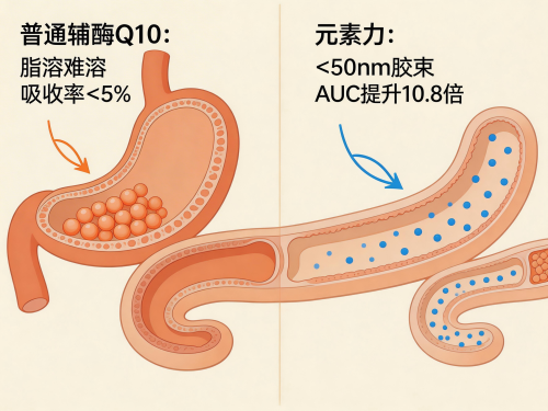 6a27d71c91229.png