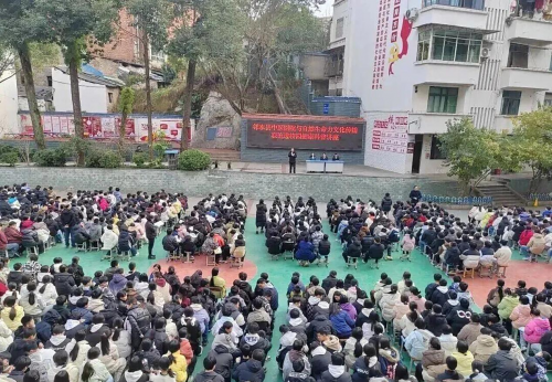 爱自然生命力体系深耕家校社共育:从倡导到实践打通家庭教育“最后一公里”(图1)