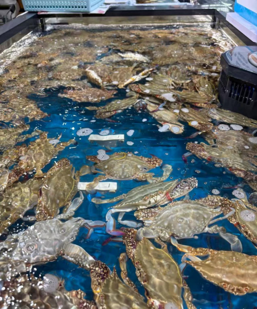 存量博弈时代，全国餐饮市场分化加剧，海大富凭全域布局稳占先机、高复购持续领跑