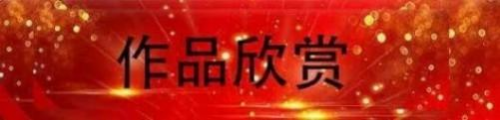 ����ɡ������������ղؼ�ֵ������
