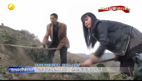 一片富硒茶叶铺就致富路 安康圣泰十年扎根秦巴沃土 全产业链实干赋能乡村全面振兴
