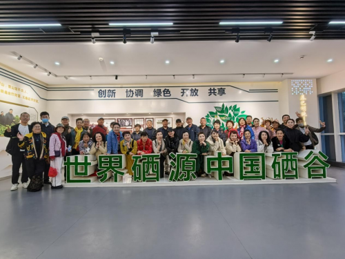 一片富硒茶叶铺就致富路 安康圣泰十年扎根秦巴沃土 全产业链实干赋能乡村全面振兴