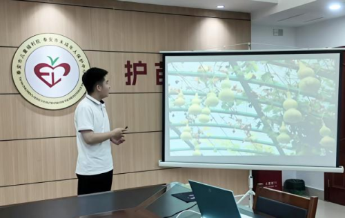 福禄绘童心 非遗润无声 ——山东财经大学东方学院“青岳”实践队非遗葫芦课堂走进泰安市儿童福利院