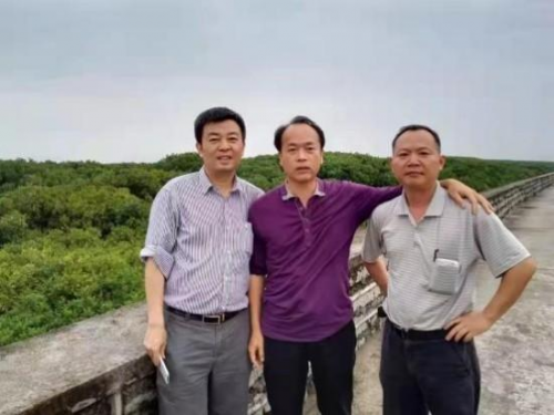 ����ҽ�ŷ� ����ɫҩ�㡪���������������ø����Ϸ��츣��������